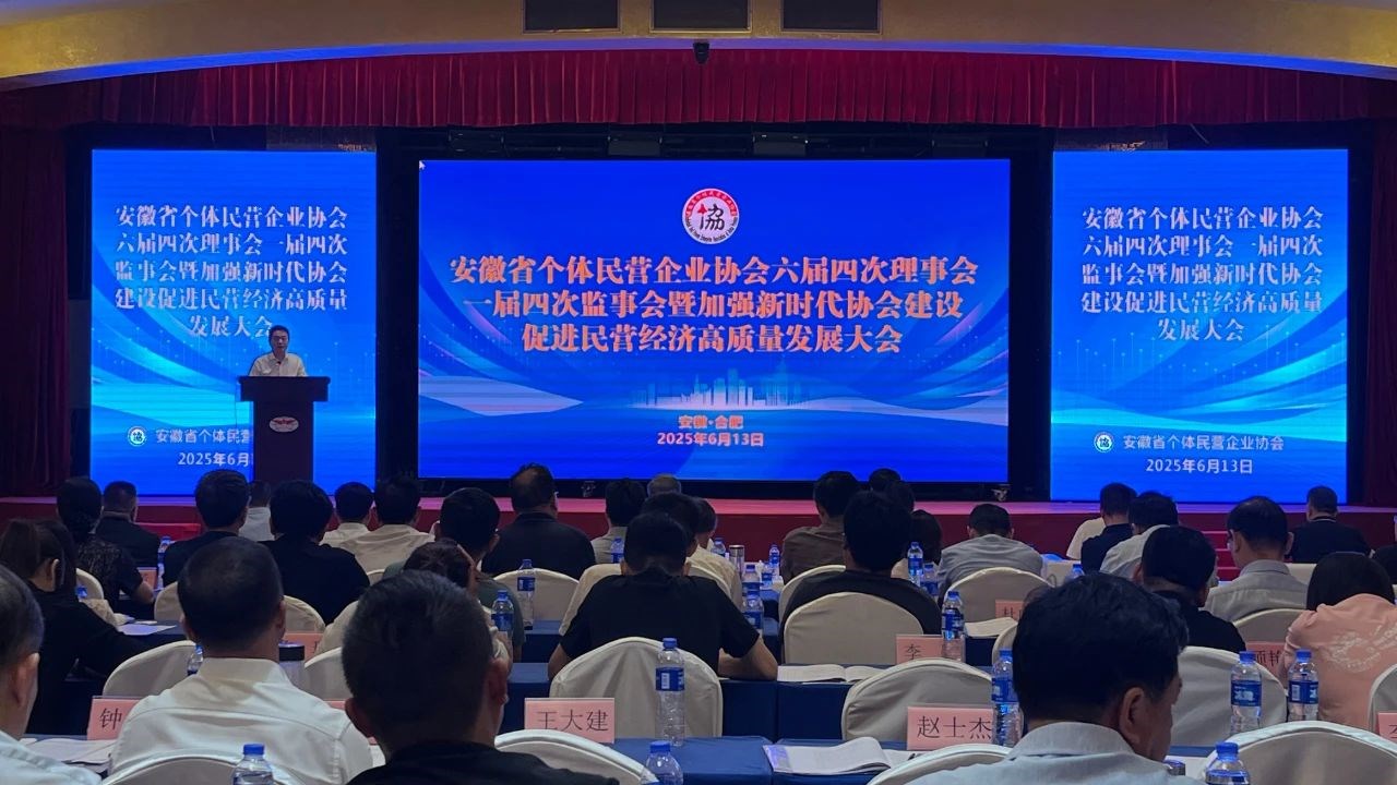 安徽省个体民营企业协会六界四次理事会召开，，，，省个协副会长单位凯时尊龙智能科技集团董事长高逢满应邀出席会议